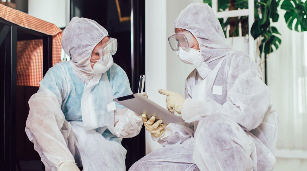 How Pest Control Services In Hyderabad Ensure Long-Term Pest Prevention