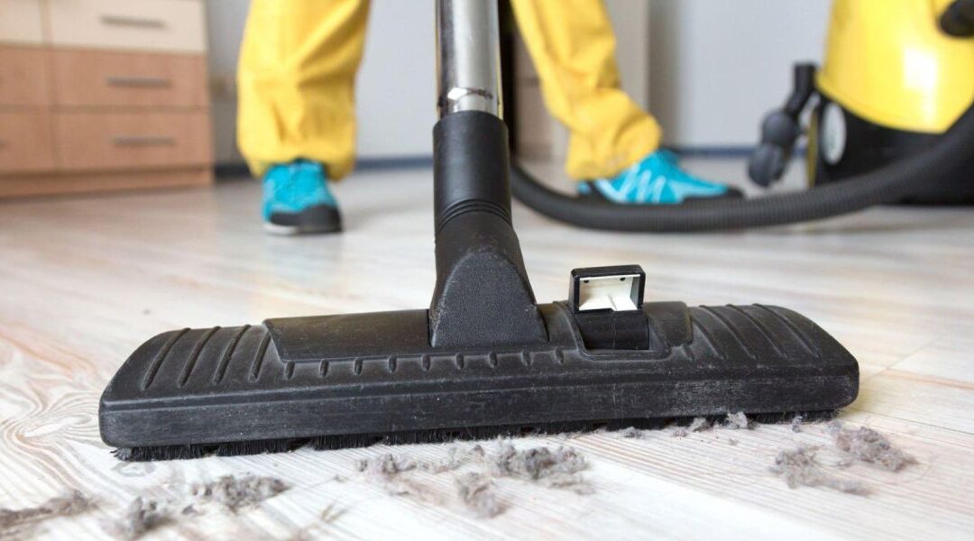 Housekeeping Services in Hyderabad: How to Ensure Pet-Friendly and Allergen-Free Cleaning Practices