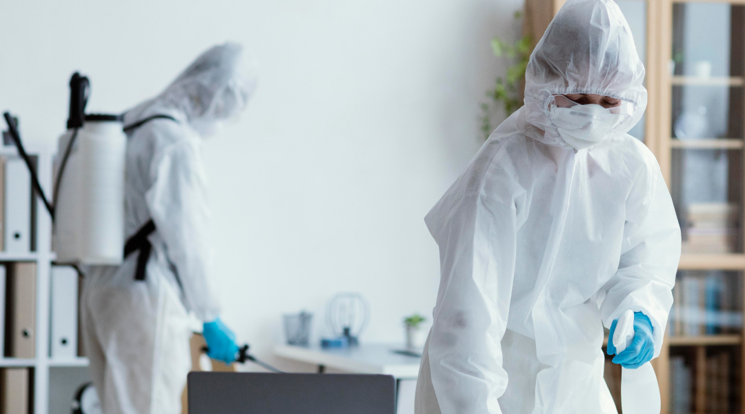 Pest Control Services in Hyderabad: The Role of Pest Control in Maintaining Food Safety Standards in Restaurants